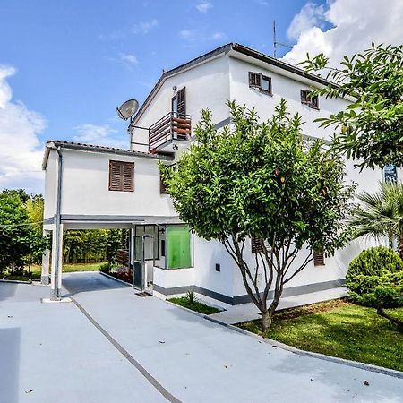 Apartmani Andrea بولا المظهر الخارجي الصورة